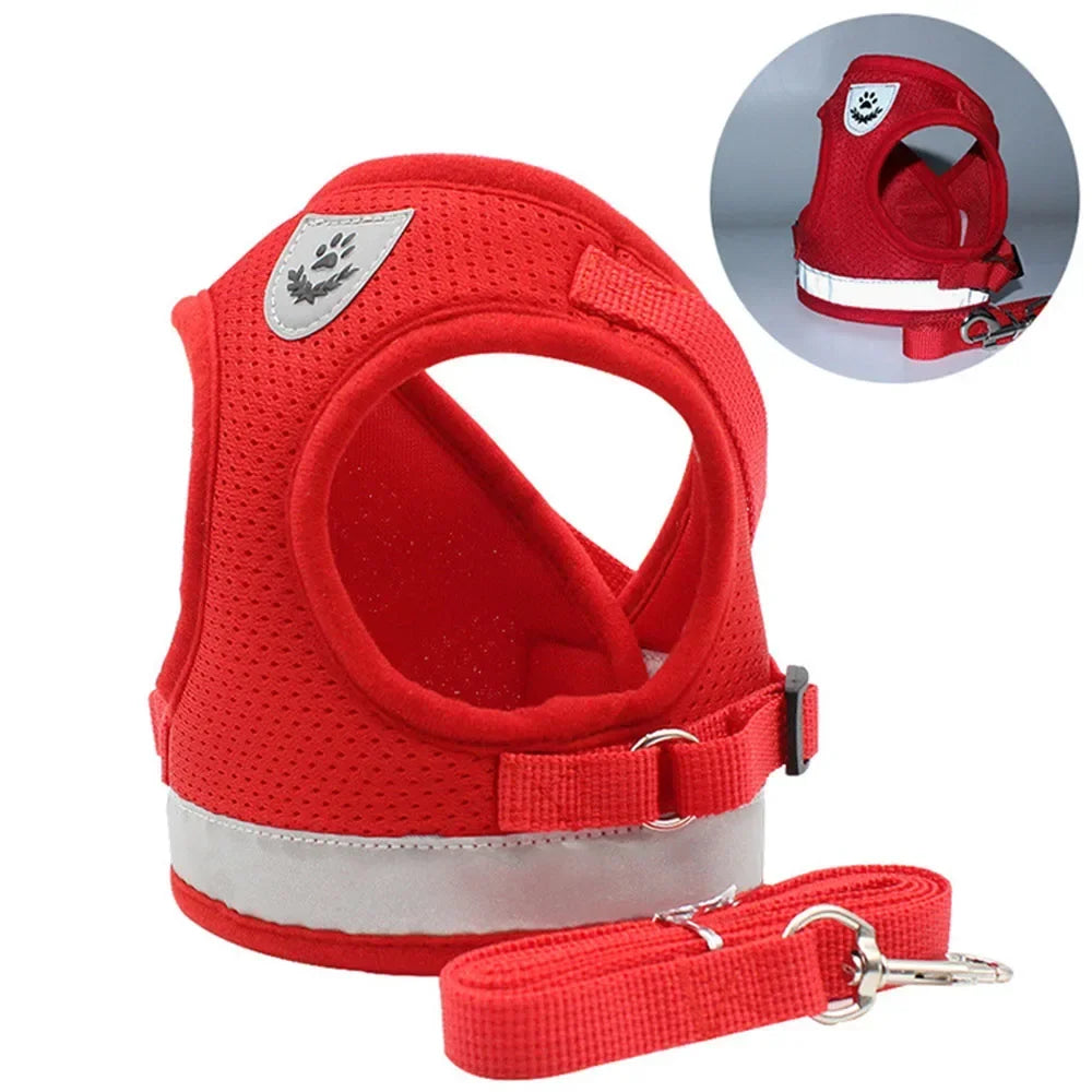 Peitoral Anti-Fuga para Gatos