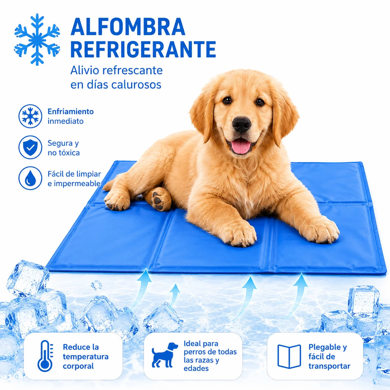 Tapete Refrescante para Pets