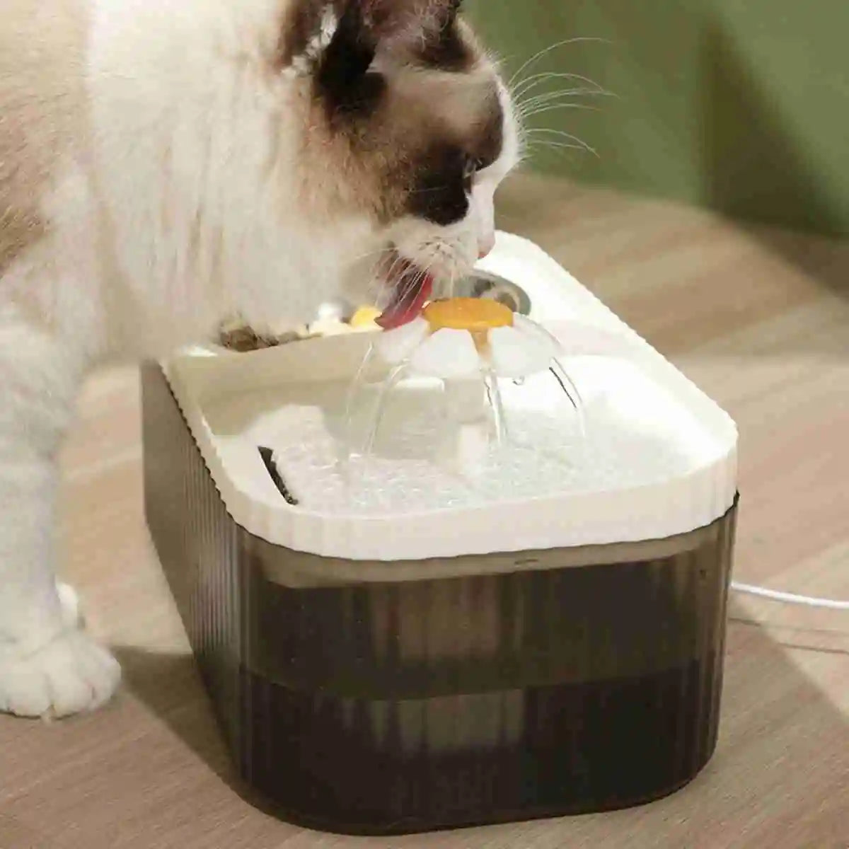 Fonte e Comedouro Automático para Pets