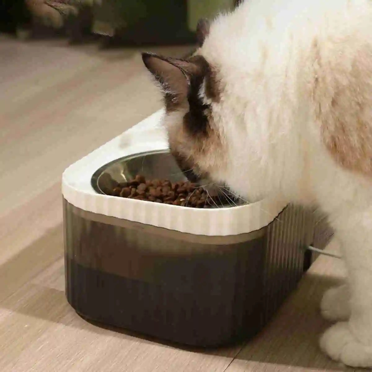 Fonte e Comedouro Automático para Pets