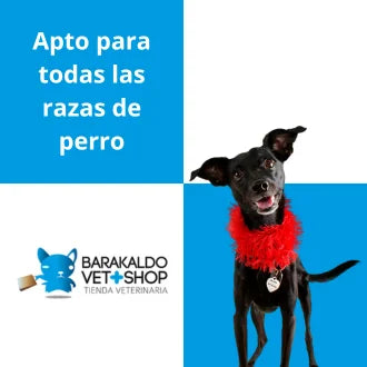Peitoral Urbano para Cão – Cinzento