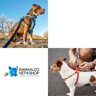Peitoral Urbano para Cão – Cinzento