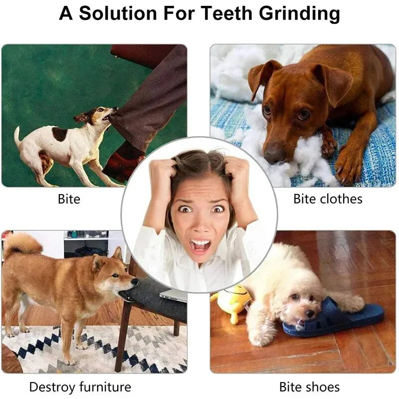 Bola Distribuidora de Petiscos para Cão