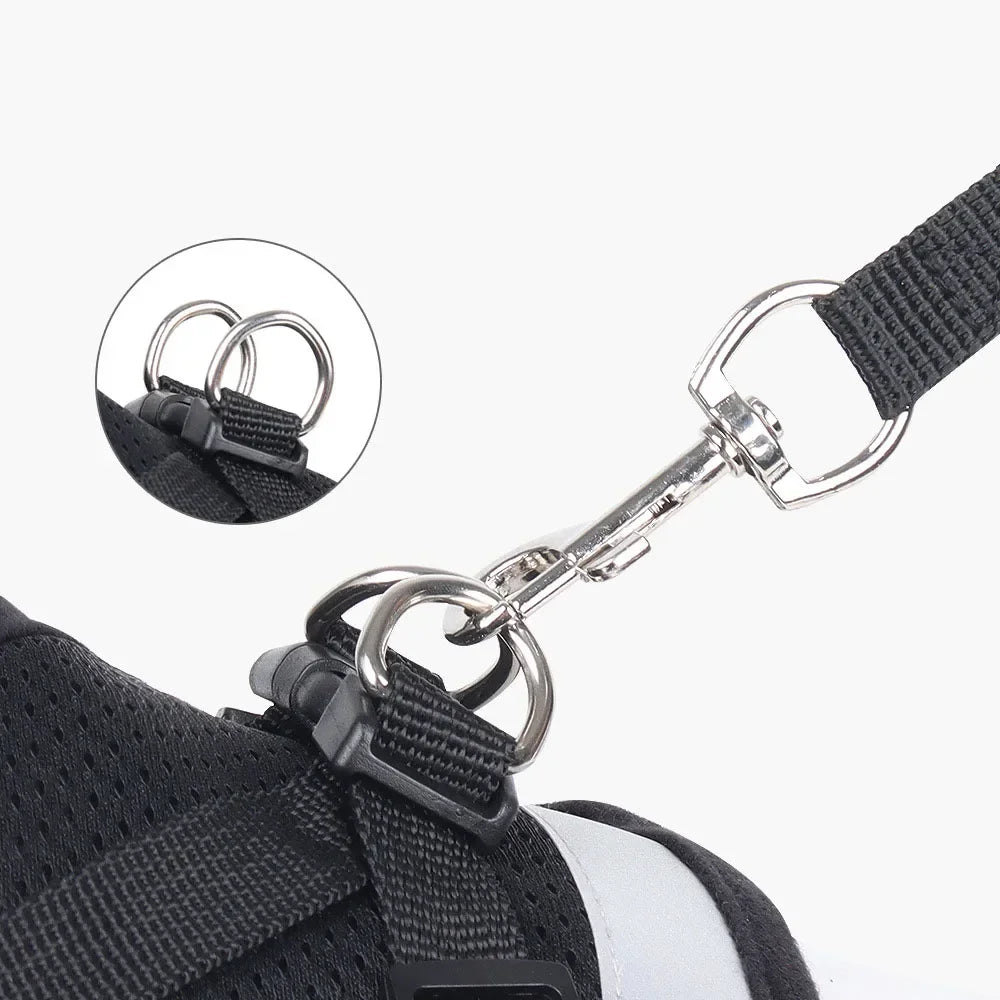 Peitoral Anti-Fuga para Gatos