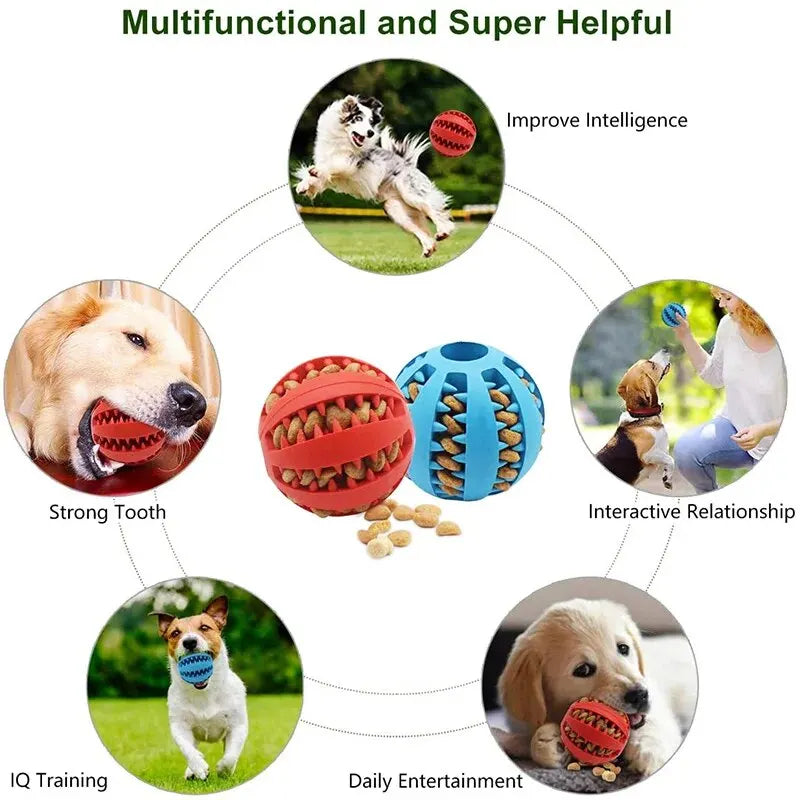 Bola Distribuidora de Petiscos para Cão
