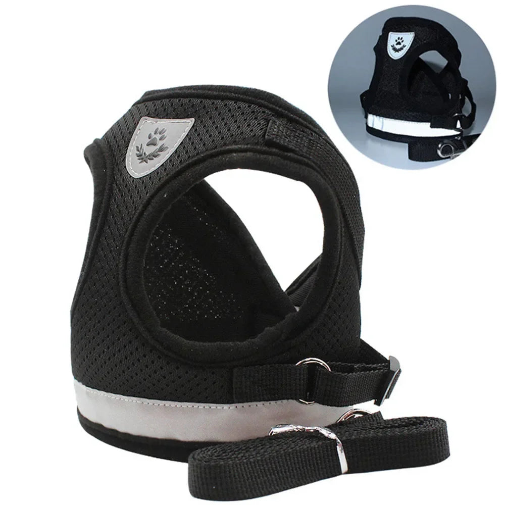 Peitoral Anti-Fuga para Gatos