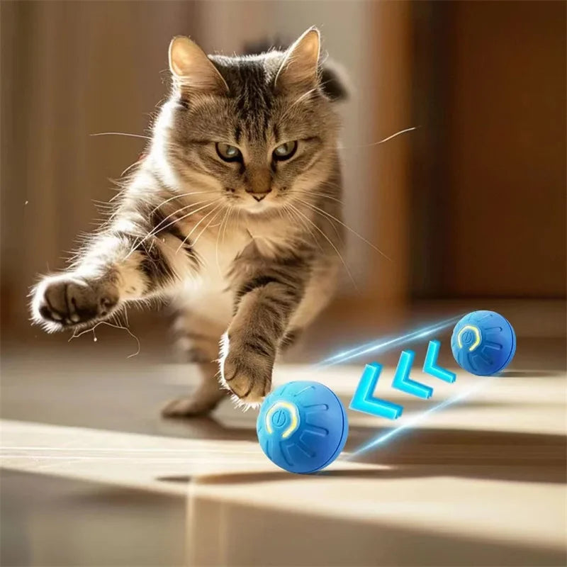 Bola Interactiva Eléctrica para Pets