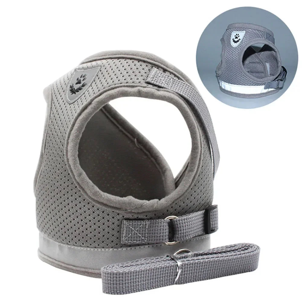 Peitoral Anti-Fuga para Gatos