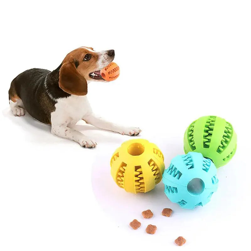 Bola Distribuidora de Petiscos para Cão