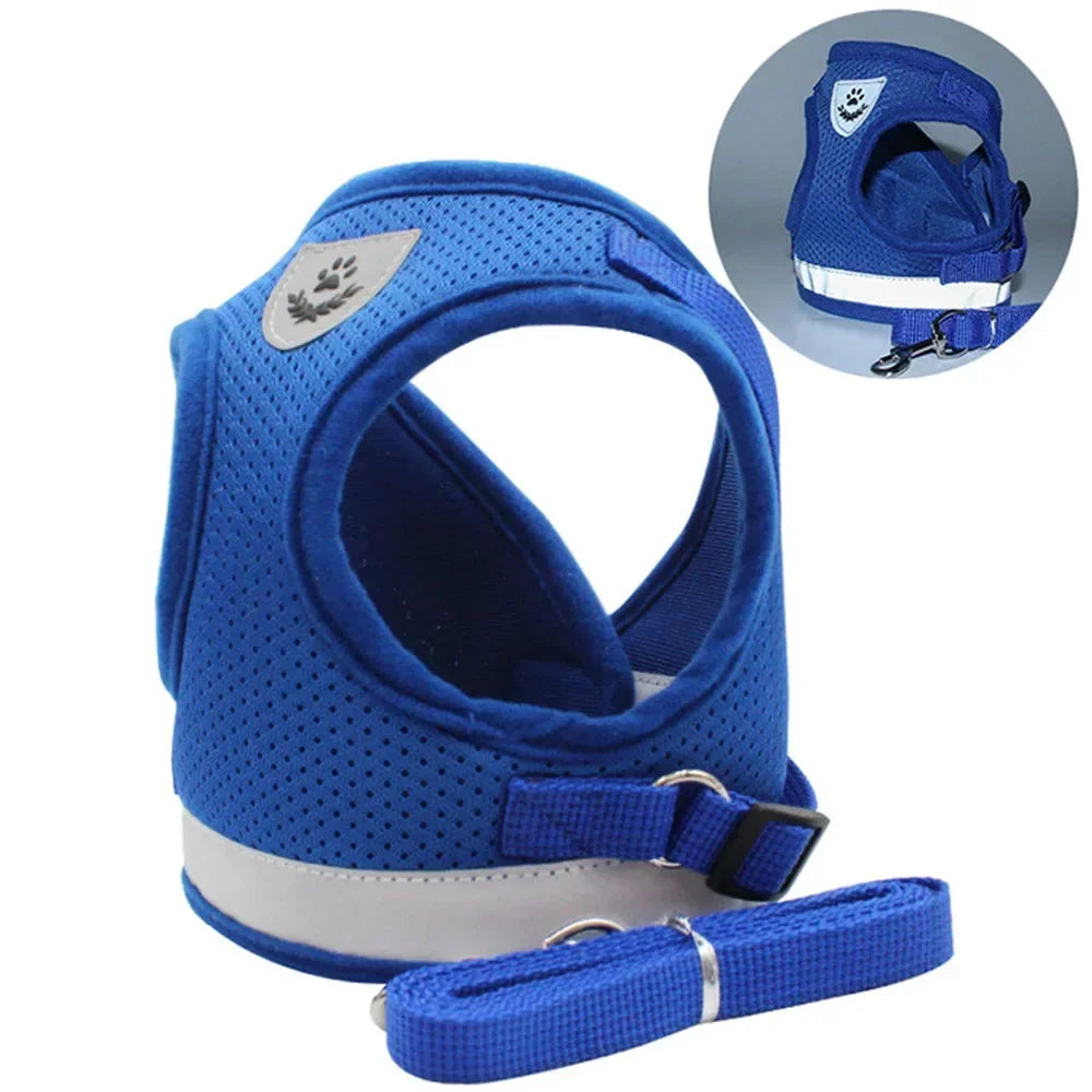 Peitoral Anti-Fuga para Gatos