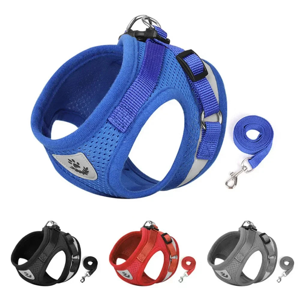Peitoral Anti-Fuga para Gatos