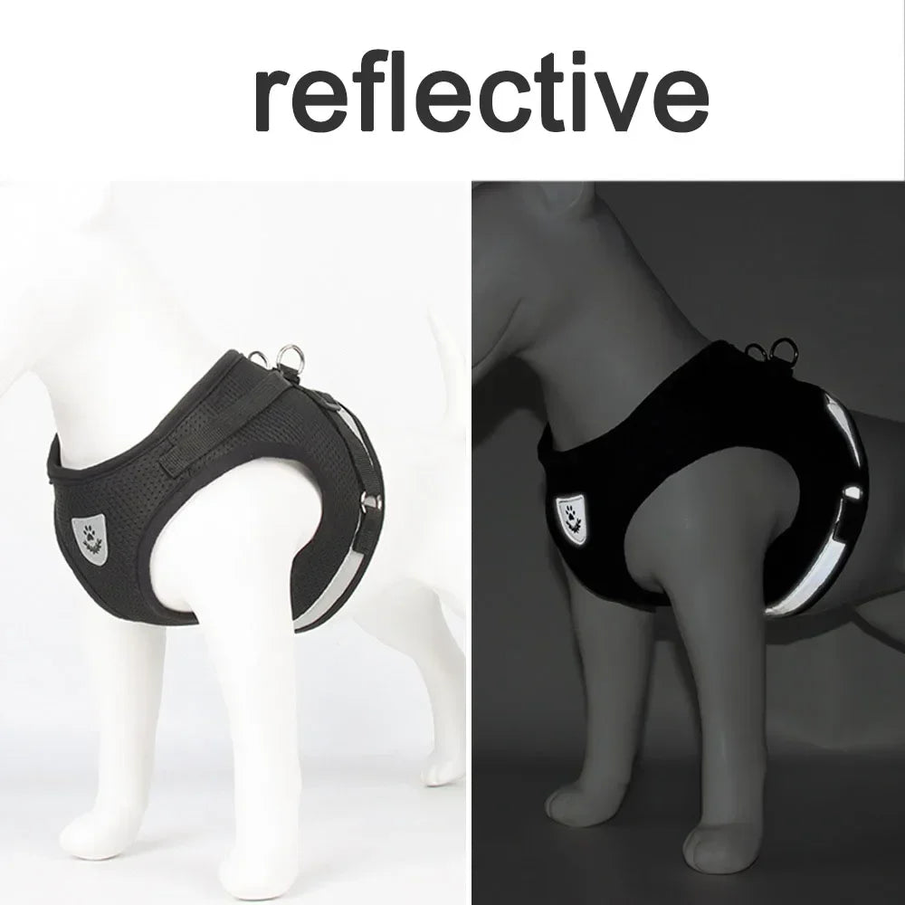 Peitoral Anti-Fuga para Gatos