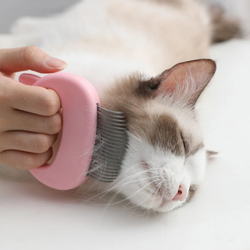 Escova de Massagem para Pets