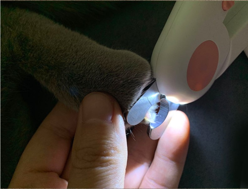 Corta-Unhas com LED para Pets