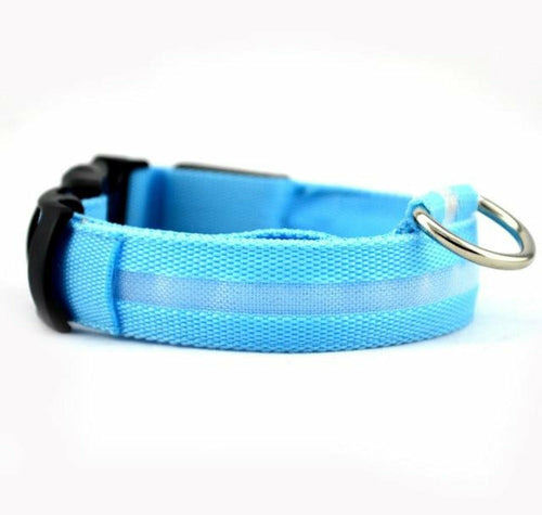Coleira LED Nylon para Cão – Pack 2