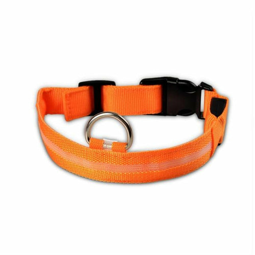 Coleira LED Nylon para Cão – Pack 2