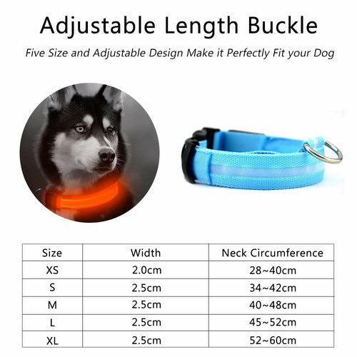Coleira LED Nylon para Cão – Pack 2